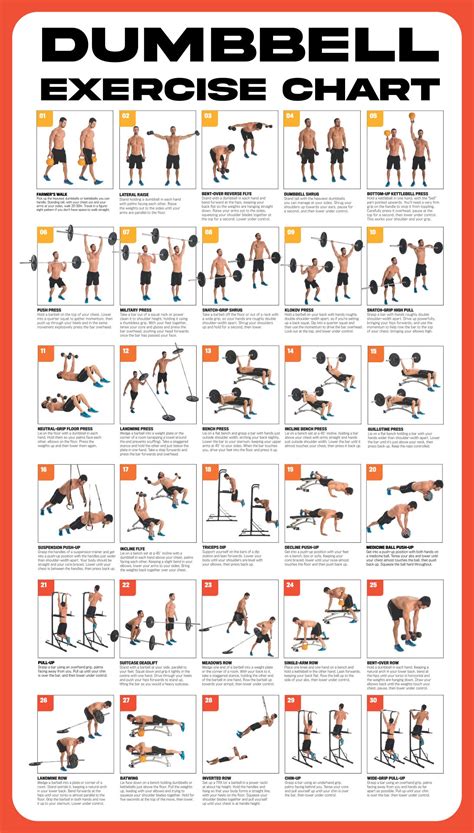 Vive Dumbbell Exercise Poster Home Gym Workout for Upper, Lower, Full