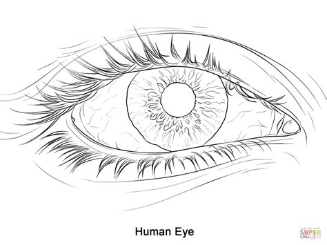 Printable Eye Coloring Page