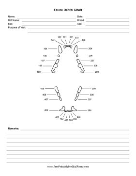 Printable Feline Dental Chart