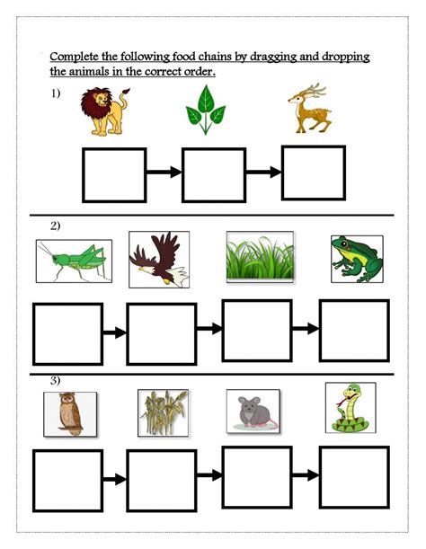 Printable Food Chain Worksheets - Worksheet24