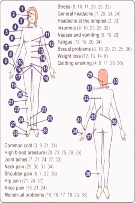 Printable Full Body Acupressure Points Chart Pdf