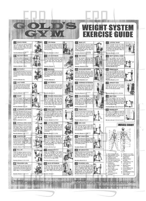 Printable Gold's Gym Xrs 50 Exercise Chart