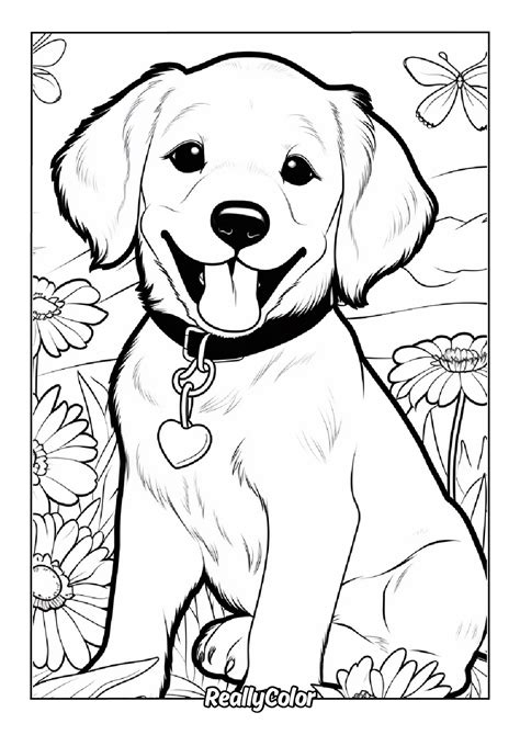 Printable Golden Retriever Puppy Coloring Pages