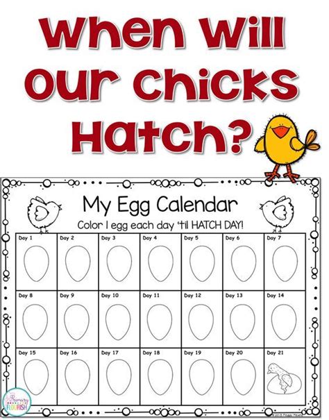 Printable Hatching Eggs Calendar
