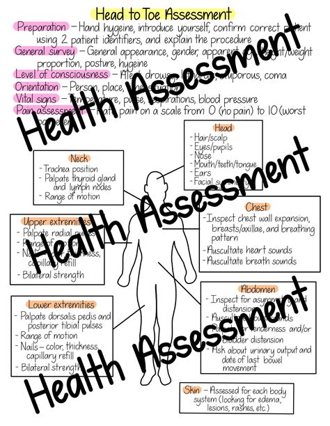 Printable Head To Toe Assessment Cheat Sheet