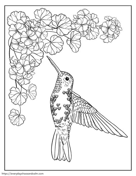Breathtakingly Beautiful: Discover the Enchanting World of Printable Hummingbird Illustrations