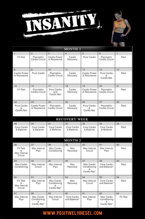 Printable Insanity Schedule
