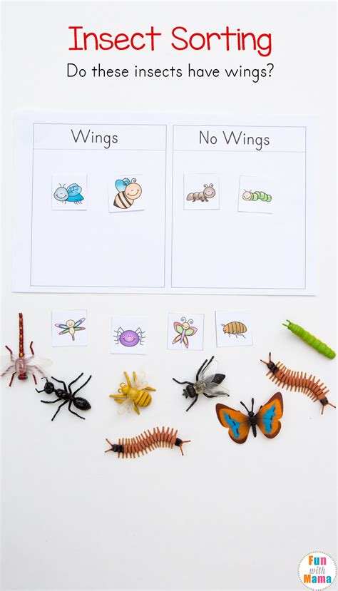 Printable Insect Activities For Preschoolers