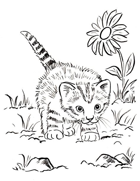 Printable Kitten Coloring Pages