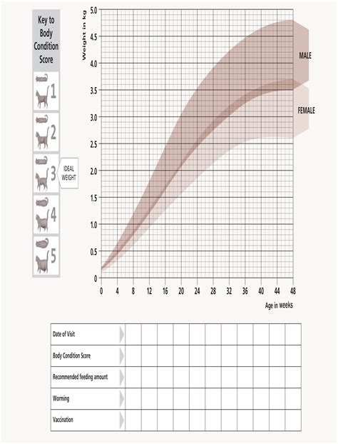 Printable Kitten Weight Chart