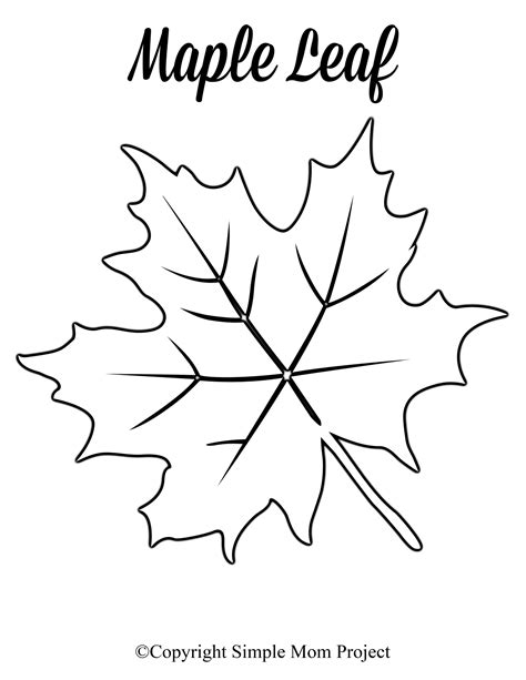 Printable Large Leaf Template