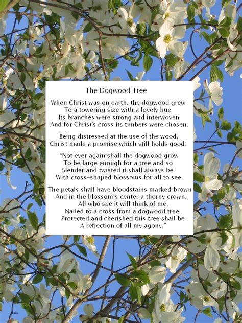 Printable Legend Of The Dogwood Tree