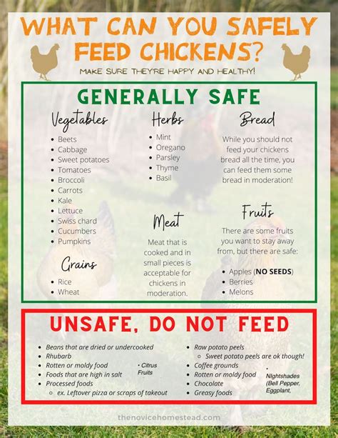 Printable List Of What Chickens Can Eat