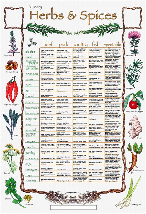 Printable Medicinal Herb Chart