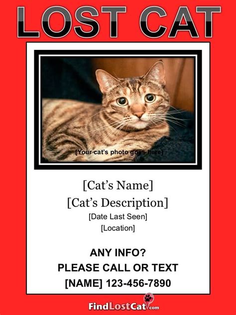 Printable Missing Cat Poster