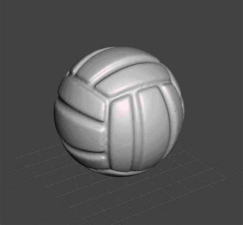 Printable Model Code 431 Volleyball