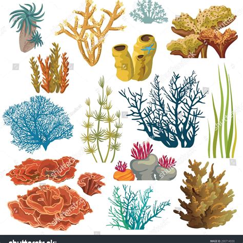 Printable Ocean Plants Names And Pictures