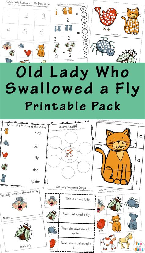 Printable Old Lady Who Swallowed A Fly Activities