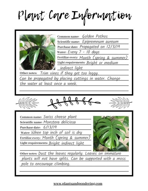 Printable Plant Information Sheets