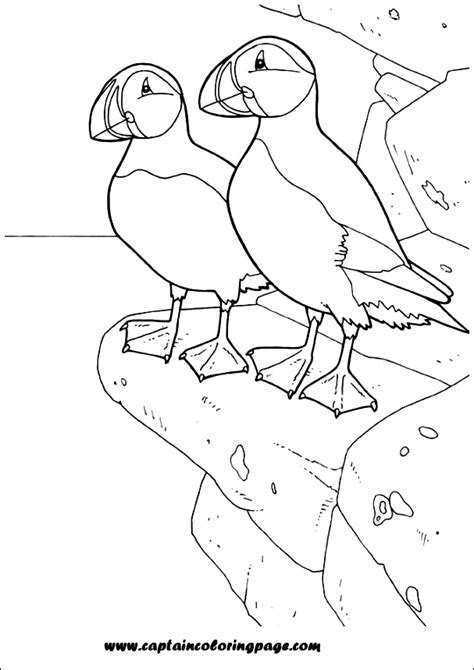 Printable Puffin Coloring Pages