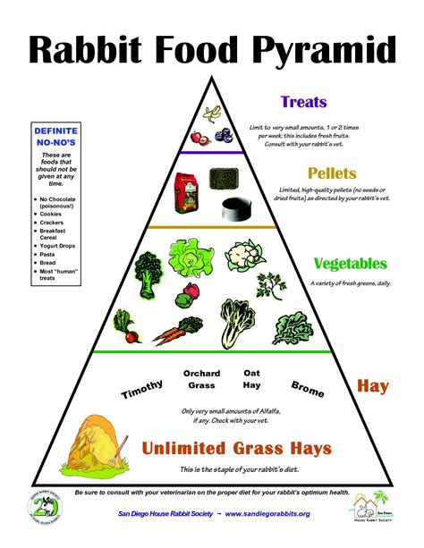 Printable Rabbit Diet Chart