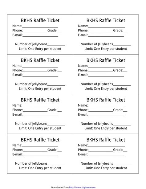 Printable Raffle Tickets Editable Ticket Template Free Word