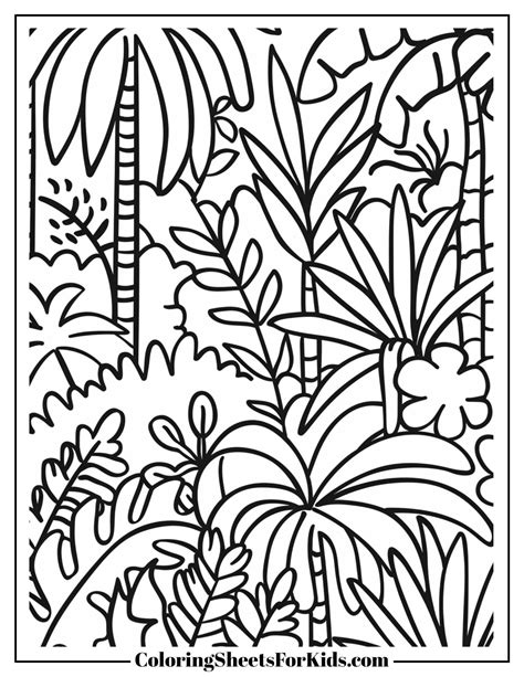 Printable Rainforest Pictures