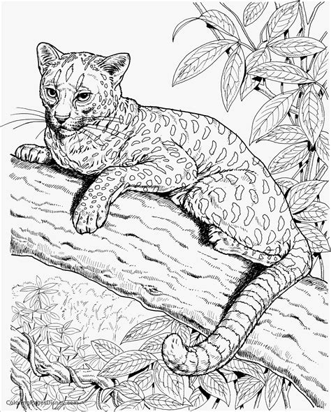 Printable Realistic Coloring Pages