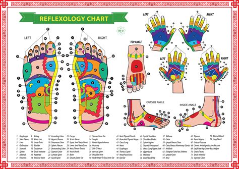 Printable Reflexology Chart