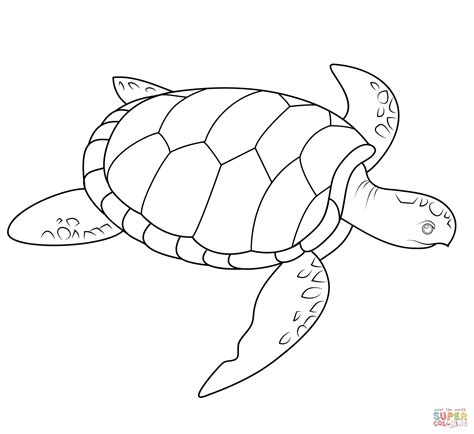 Printable Sea Turtle