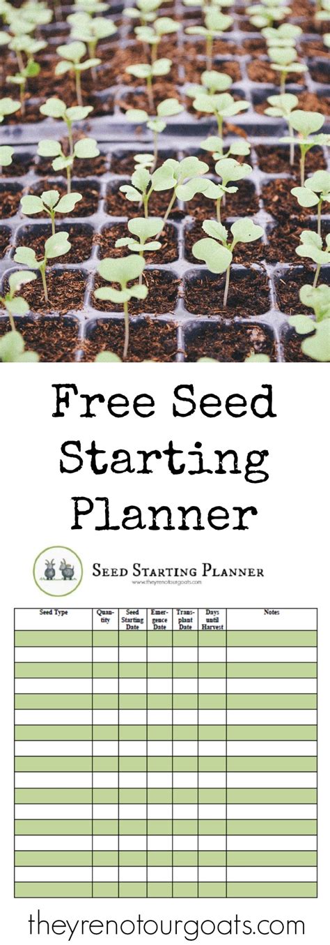 Printable Seed Starting Chart