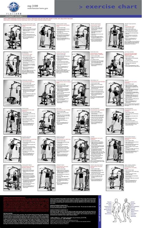 Printable Smith Machine Exercise Chart