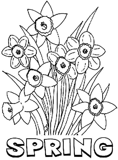 Printable Spring Flowers Coloring Pages