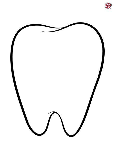 Printable Tooth Template
