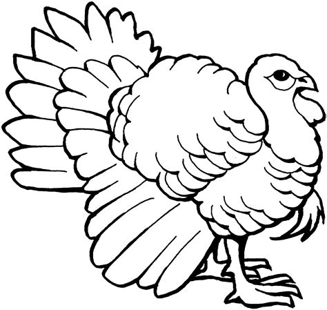 Printable Turkey Coloring Page