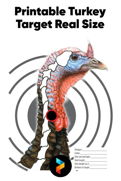 Printable Turkey Patterning Target