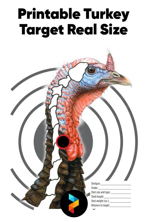 Printable Turkey Targets