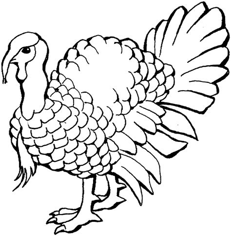 Printable Turkey To Color