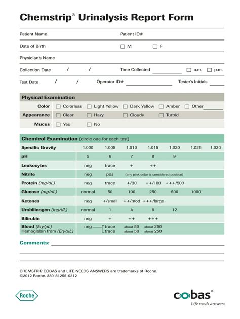 Printable Urine Dipstick Results Form