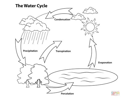 Printable Water Cycle Coloring Page