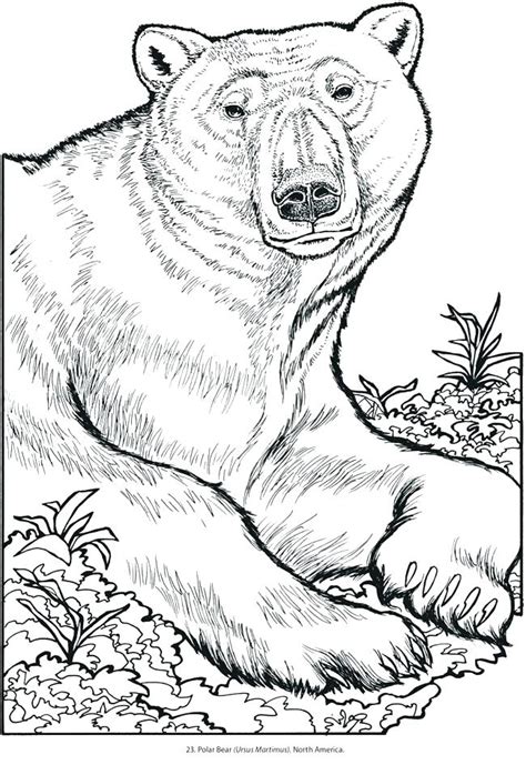 Printable Wildlife Coloring Pages