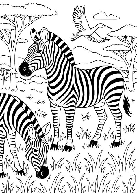 Printable Zebra Coloring Pages For Kids