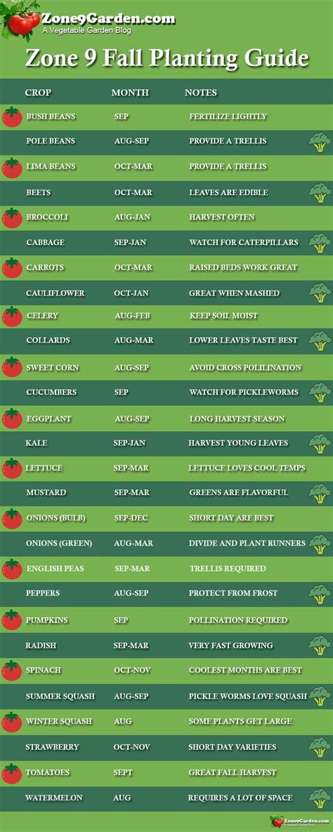 Printable Zone 9 Planting Schedule