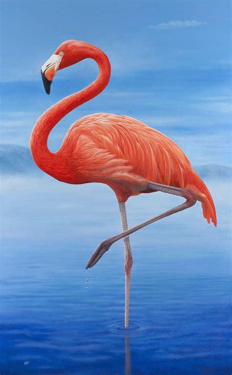 Beautiful Flamingo Prints: A Colorful Addition to Your Home Decor