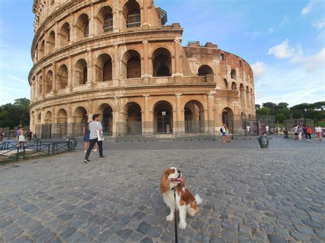 Prioritizing Attractions in Rome