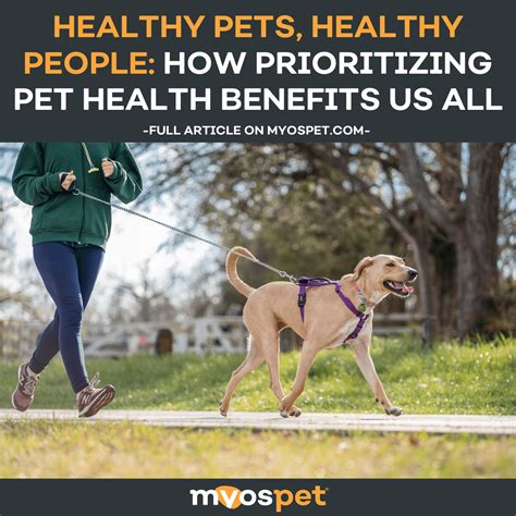 Prioritizing Your Pet
