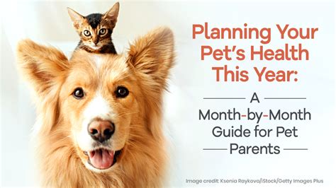 Prioritizing Your Pets Health Beyond Recalls