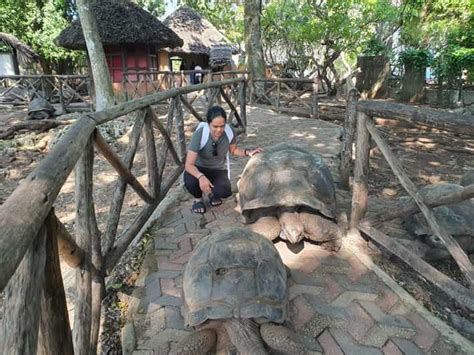 Prison Island Tour Guide