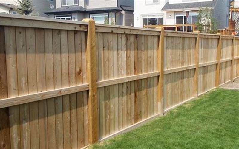 Privacy Fence 600 Feet Cost - Everything You Need To Know