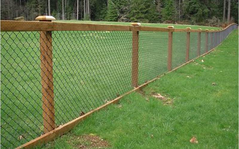 Privacy Fence And Chain Link: An In-Depth Look At The Pros And Cons